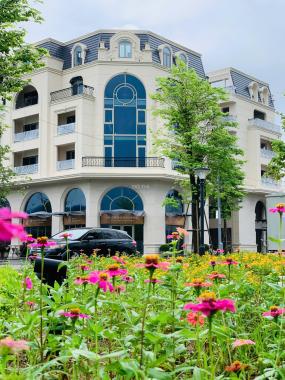 Bán Dự Án Khu Đô Thị Royal Mansion Trung Tâm Ngã 6 Tỉnh Bắc Ninh Mới .