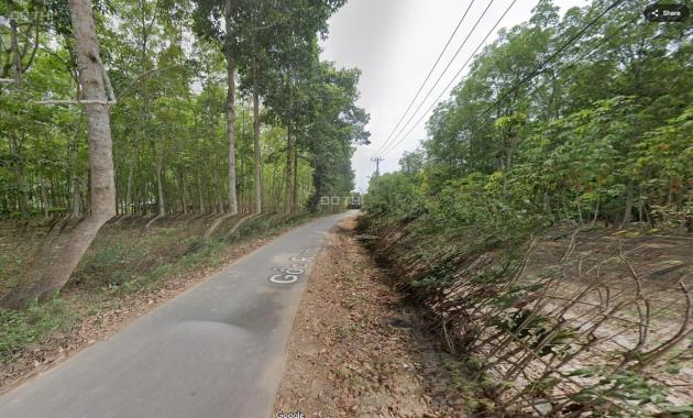 Bán đất tại Đường Gốc Rưng, Xã An Nhơn Tây, Củ Chi, Hồ Chí Minh diện tích 2024m2 giá 7.2 Tỷ