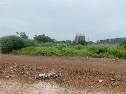 Cần bán Đất An Thạnh, Thuận An Diện tích : 196,5m2