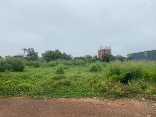Cần bán Đất An Thạnh, Thuận An Diện tích : 196,5m2
