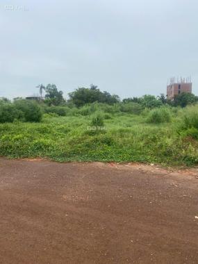 Cần bán Đất An Thạnh, Thuận An Diện tích : 196,5m2