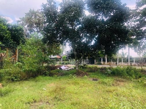 Cần Bán Lô Đất Vườn 552m2 tại Xã Nhuận Đức, Huyện Củ Chi, TP.HCM. Giá TL