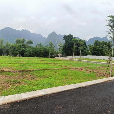 🔥 SIÊU PHẨM ĐẤT NỀN LÕI KCN THANH HÀ 85.5m² – CHỈ 670 TRIỆU, TIỀM NĂNG SINH LỜI C
