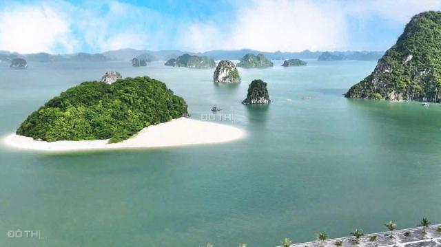 Chính chủ rao bán căn studio 33m2 view vịnh