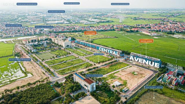 Bán đất nền dự án tại Đường Tỉnh lộ 286, Xã Đông Phong, Yên Phong, Bắc Ninh