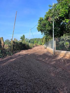 CHÍNH CHỦ BÁN ĐẤT VƯỜN TẠI QUANG TRUNG - THỐNG NHẤT DIỆN TÍCH 1000m2 GIÁ CHỈ 980TR