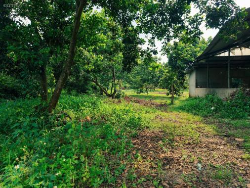 CHÍNH CHỦ BÁN ĐẤT VƯỜN TẠI QUANG TRUNG - THỐNG NHẤT DIỆN TÍCH 1000m2 GIÁ CHỈ 980TR
