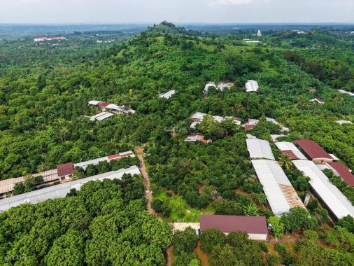 CHÍNH CHỦ BÁN ĐẤT VƯỜN TẠI QUANG TRUNG - THỐNG NHẤT DIỆN TÍCH 1000m2 GIÁ CHỈ 980TR