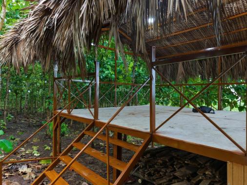 BÁN ĐẤT VƯỜN LA NGÀ - ĐỊNH QUÁN, ĐỒNG NAI, VIEW HỒ TRỊ AN 1000m2 GIÁ CHỈ 850TR