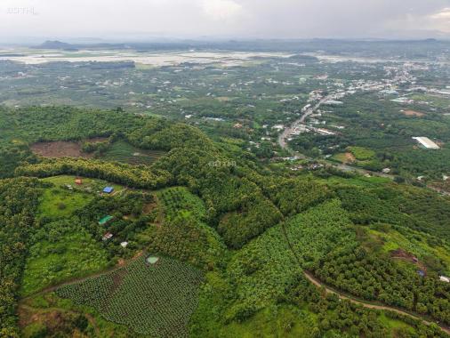 BÁN ĐẤT VƯỜN LA NGÀ - ĐỊNH QUÁN, ĐỒNG NAI, VIEW HỒ TRỊ AN 1000m2 GIÁ CHỈ 850TR