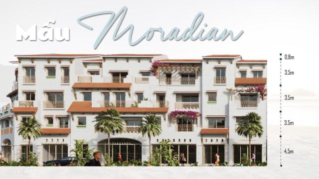 Bán biệt thự Vũng Tàu 592m2 xây dựng 1 hầm 4 tầng khu đô thị Sun Group giá từ 25 tỷ