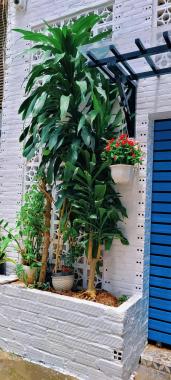 Nhà Đẹp 1 Trệt 1 Lầu – Hẻm 4m Nguyễn Hữu Tiến, Tân Phú – Giá Tốt Khu Vực!