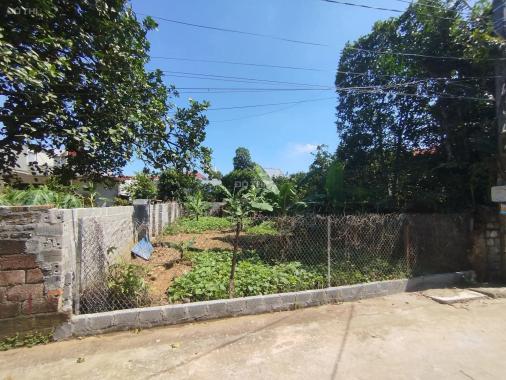 Bán mảnh đất đẹp tại Xã Phú Cát - Hà Nội !