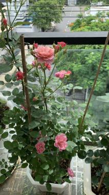 Ann về Úc bán nhà mặt tiềng đường cách Vạn Phúc City chưa tới 50m