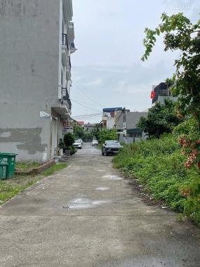 Siêu phẩm Văn Cú An Dương Hải Phòng