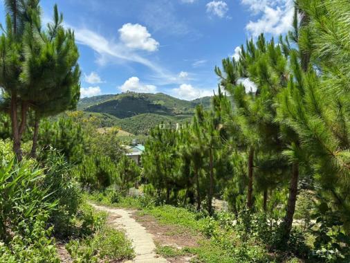 6000m² đất QH thổ cư mặt tiền B'Lao Xê Rê, view 360, khu dân cư hiện hữu, phường 3, TP Bảo Lộc