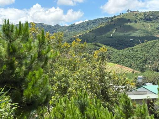 6000m² đất QH thổ cư mặt tiền B'Lao Xê Rê, view 360, khu dân cư hiện hữu, phường 3, TP Bảo Lộc