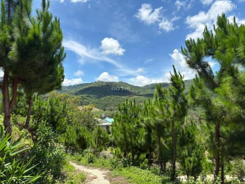 6000m² đất QH thổ cư mặt tiền B'Lao Xê Rê, view 360, khu dân cư hiện hữu, phường 3, TP Bảo Lộc