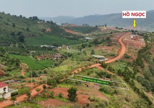 🌿LÔ ĐẤT 540M² (200M² THỔ CƯ) – MẶT TIỀN ĐƯỜNG CHÍNH HỒ NGỌC, BẢO LỘC