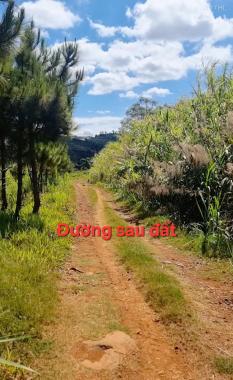 🌿LÔ ĐẤT 540M² (200M² THỔ CƯ) – MẶT TIỀN ĐƯỜNG CHÍNH HỒ NGỌC, BẢO LỘC