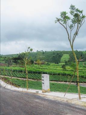 🏡LÔ ĐẤT 102M² FULL THỔ CƯ – HẠ TẦNG HOÀN CHỈNH, TRUNG TÂM BẢO LỘC