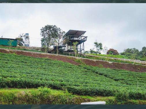 🏡LÔ ĐẤT 102M² FULL THỔ CƯ – HẠ TẦNG HOÀN CHỈNH, TRUNG TÂM BẢO LỘC