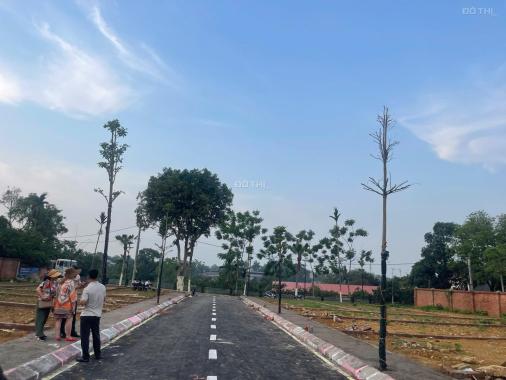 Bán đất tại Đường 21, Xã Phú Cát, Quốc Oai, Hà Nội diện tích 100m2 giá 4 Tỷ