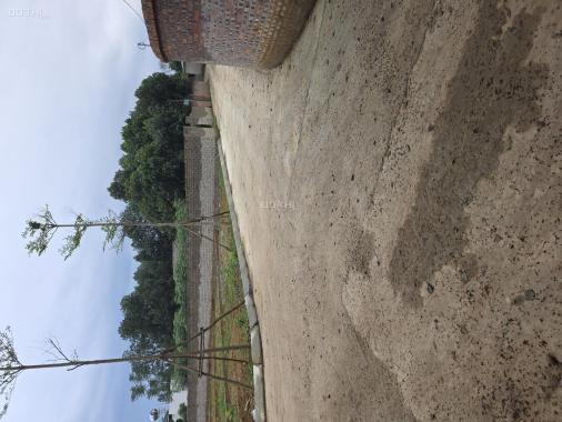 Đất trung tâm công nghệ cao và FPT xung quanh nhà trọ phủ kín