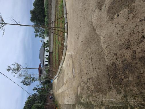 Đất trung tâm công nghệ cao và FPT xung quanh nhà trọ phủ kín