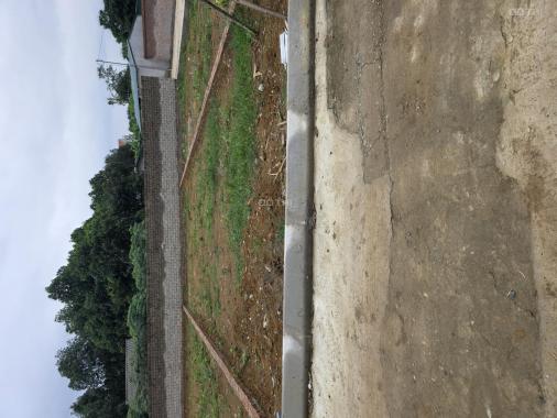 Đất trung tâm công nghệ cao và FPT xung quanh nhà trọ phủ kín