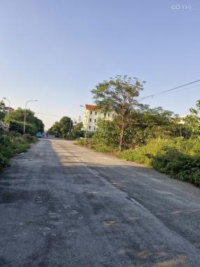 💎 Bán đất biệt thự hiếm 247m² tại Đình Bảng – Trục đẹp, gần trường – Sổ sạch, đầu tư đỉnh!