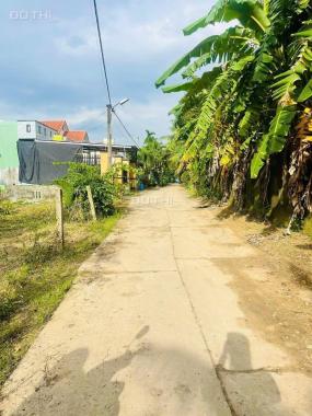 🔥 LÔ ĐẸP PHÚ HẢI – ĐẠI HIỆP | 196.8M² – NỞ HẬU – GIÁ TỐT!