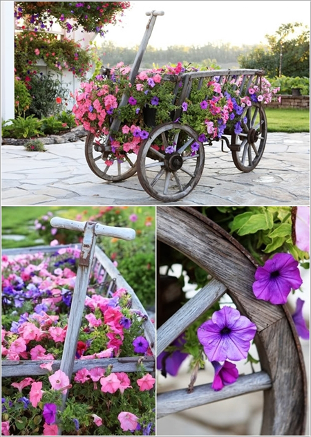 Những chiếc xe hoa tô điểm cho vườn nhà