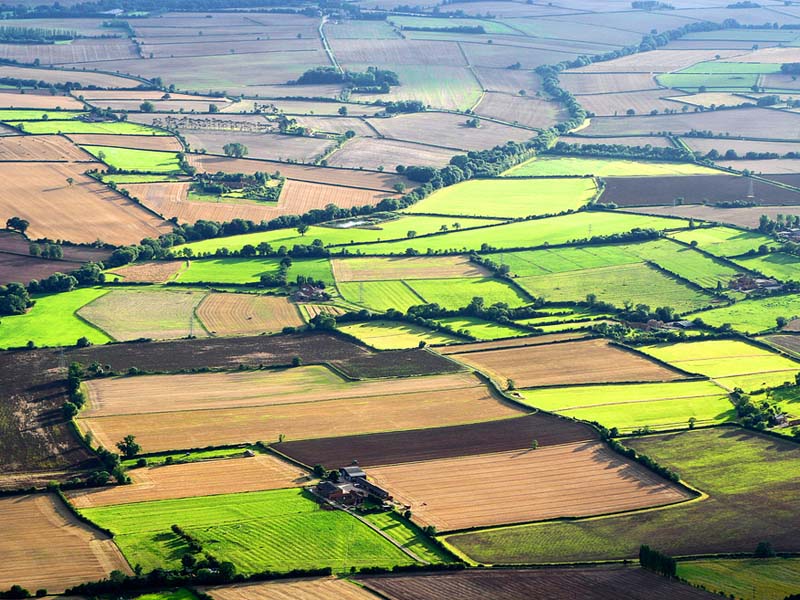 Anh: Giá đất nông nghiệp đạt ký lục mới