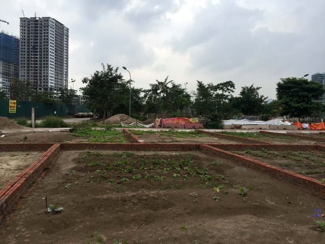 Hà Nội: Đấu giá 21 thửa đất tại quận Bắc Từ Liêm