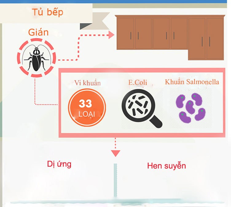 Infographic: Những vị trí dễ khiến nhà bếp thành ổ bệnh