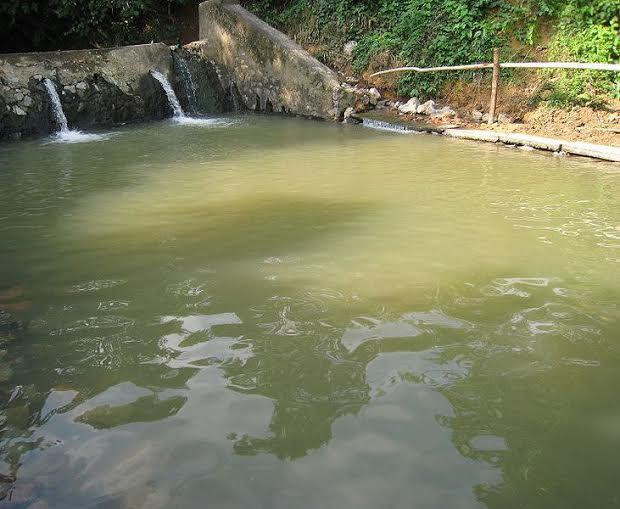 Bình Định: Hoa Sen Group được khảo sát làm dự án nghỉ dưỡng, suối nước nóng