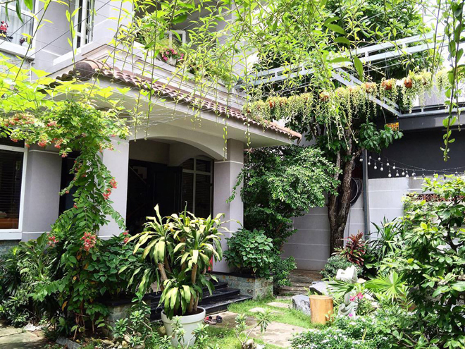 Nhà vườn xanh mướt của ca sỹ Cao Thái Sơn