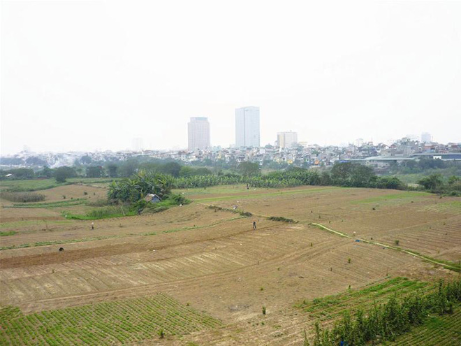Hà Nội rà soát sử dụng đất tại vùng bãi sông Hồng