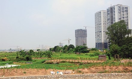 Hà Nội công khai 8 doanh nghiệp nợ hơn 11 tỷ đồng tiền thuê đất