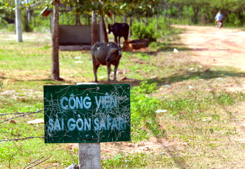 Điều chỉnh quy hoạch công viên Sài Gòn Safari