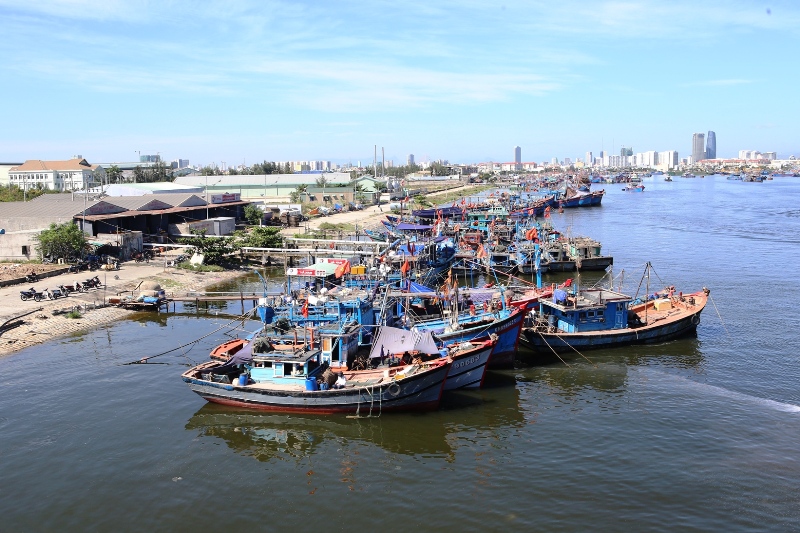 Đà Nẵng sẽ xây dựng Cảng cá lớn nhất miền Trung