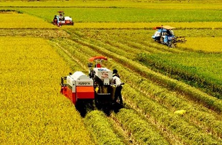 Sẽ miễn, giảm tiền sử dụng đất cho doanh nghiệp đầu tư vào nông nghiệp?