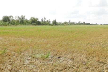Kiểm tra việc lấy đất nông nghiệp làm du lịch tại Vĩnh Phúc
