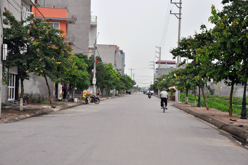 duyệt chỉ giới đường đỏ tuyến đường nối tại Thanh Trì