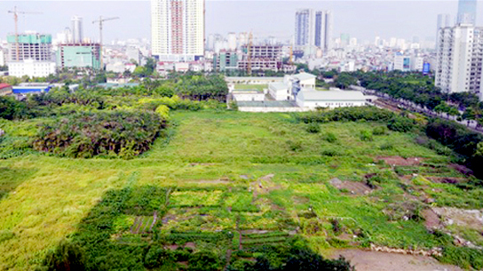 Thủ tướng Chính phủ đồng ý chuyển mục đích sử dụng đất tại Thái Nguyên. Ảnh minh họa