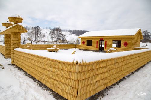 Ngôi nhà độc đáo được làm từ 30.000 bắp ngô nổi bật trên nền tuyết trắng