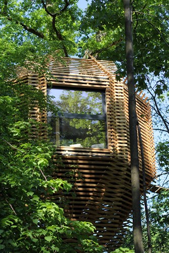 Ngôi nhà tre vắt vẻo trên cây sồi trăm tuổi