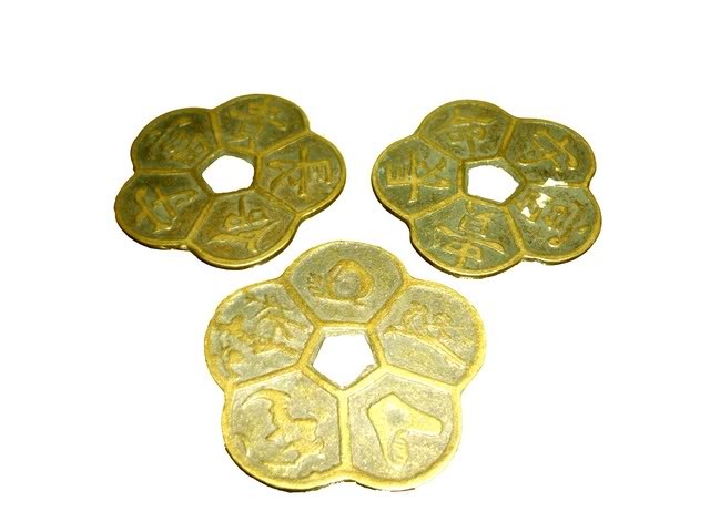 Hoa mai kim tiền - đồng xu phong thủy có 5 cánh