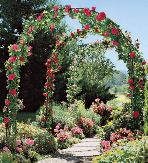 cổng vòm rực rỡ sắc hoa